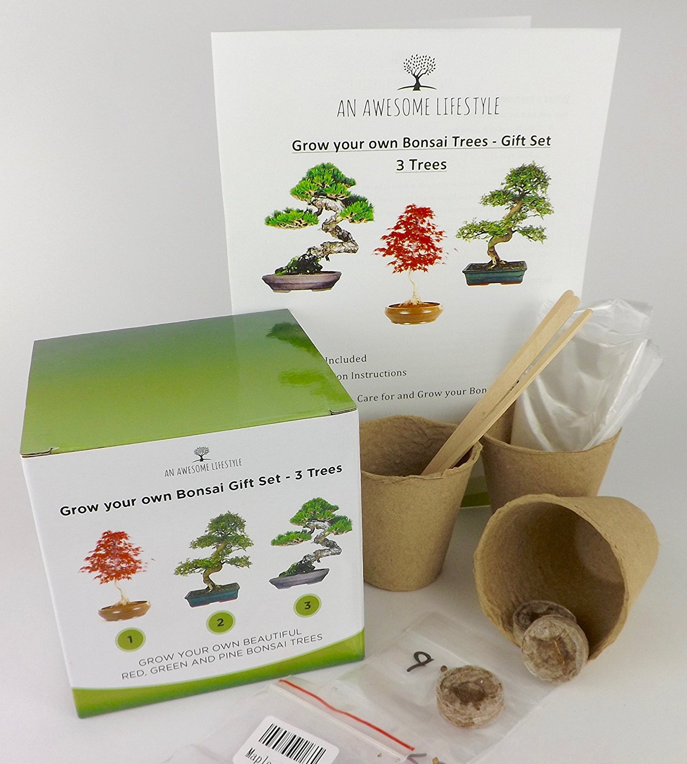 Kit albero bonsai
