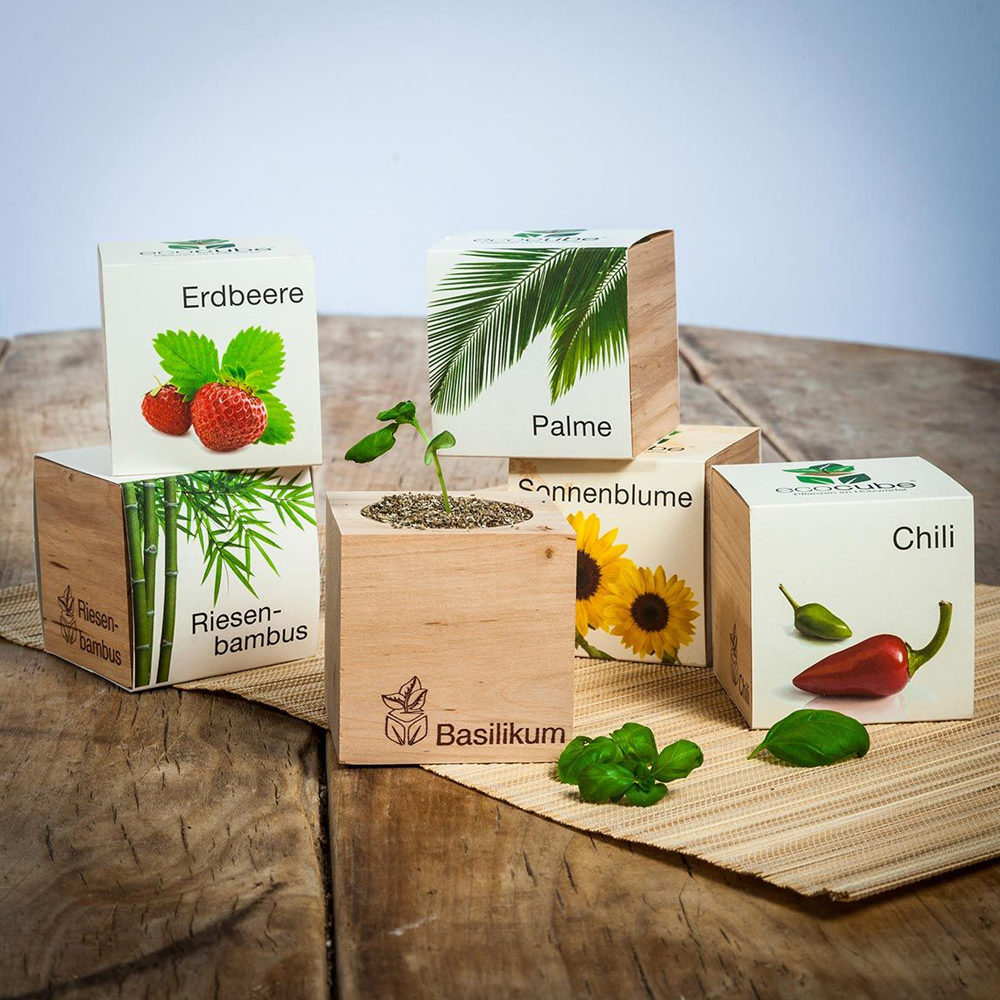 Ecocube Piante in cubi di legno