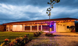 RootStudio