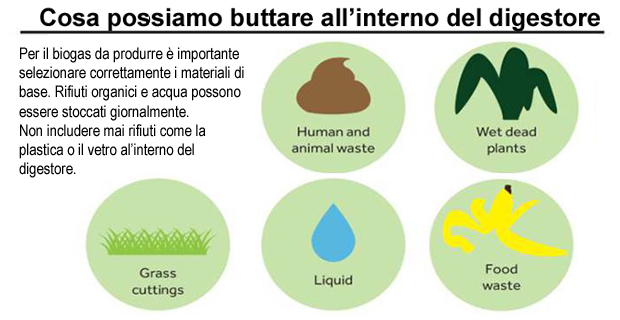 agroenergie-biomassa-libro-b