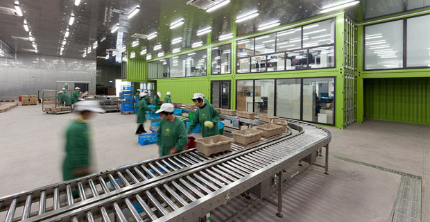 container-azienda-agricola-shangai-i