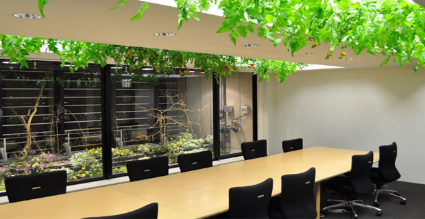 fattoria-urbana-tokyo-h