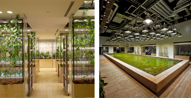 fattoria-urbana-tokyo-l