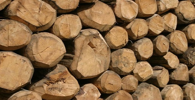 Atlante del legno. Guida ai legnami del mondo