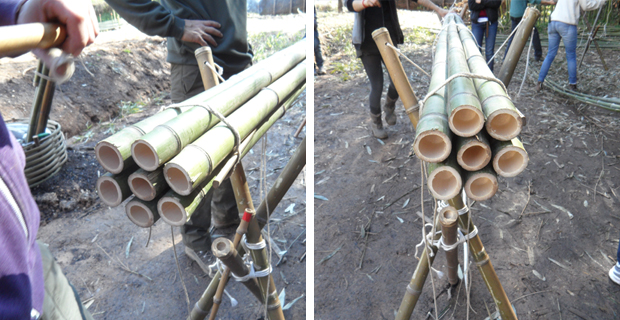  Foto di Chiara Nicora.