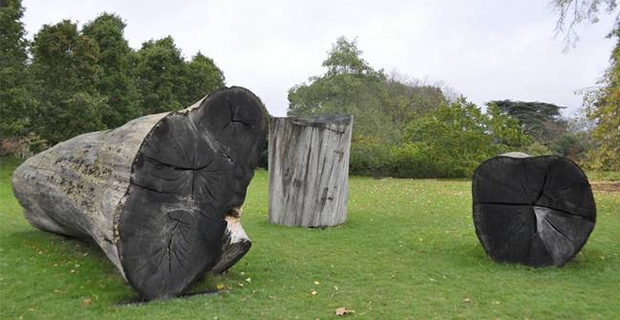 alberi-sculture-g