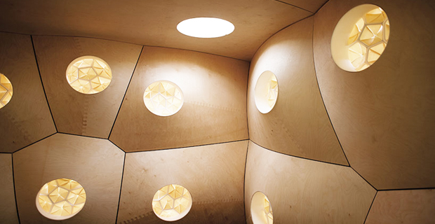 biomimetica-hygro-legno-f