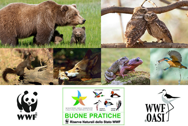 consumo-suolo-tutela-d