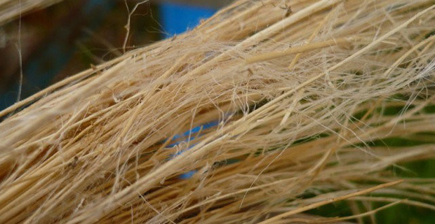 Isolanti in fibra naturale: il lino