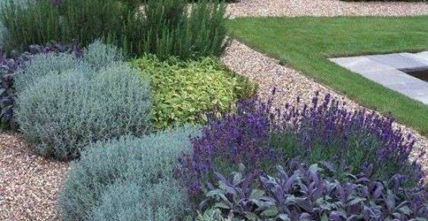 colori progettazione giardino c