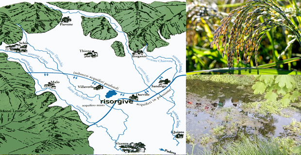 programma life compleanno b