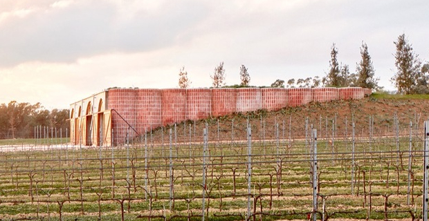 cantina vino territorio b