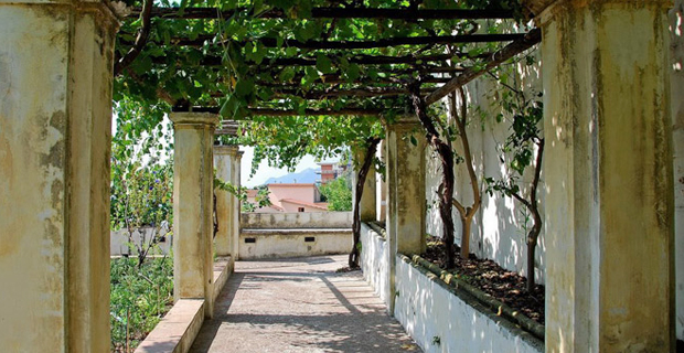  Il pergolato vegetale del Giardino della Minerva, Salerno.