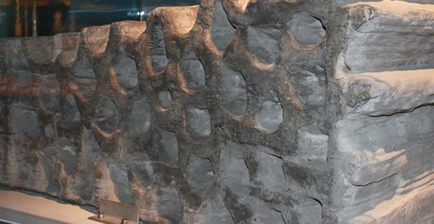  Modello di stampa 3D della struttura ipotizzata, realizzato sulla Terra con un materiale che simula la regolite lunare.