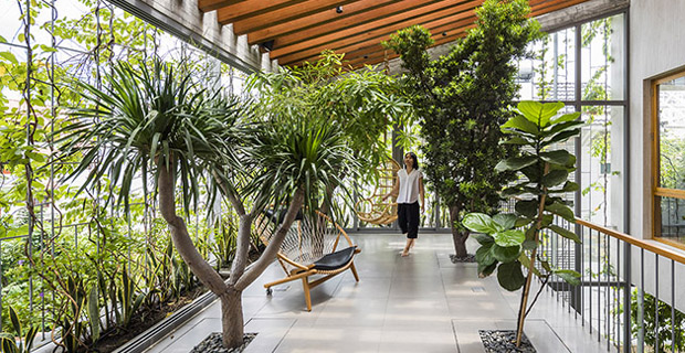 Vo Trong Nghia e il suo progetto House for tree delle case per alberi.