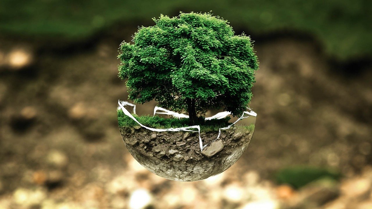 Suggerimenti per stampare green a casa e in ufficio.