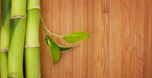 Parquet in bamboo