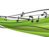 Cantanti-impronta-ecologica