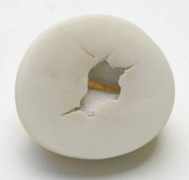 Seme-tagua